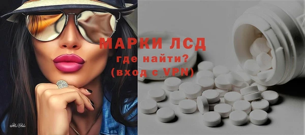 индика Осташков