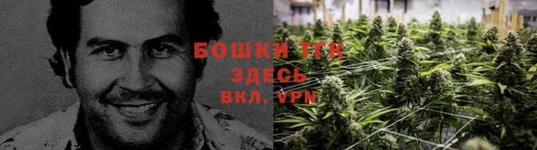 ПСИЛОЦИБИНОВЫЕ ГРИБЫ Абдулино
